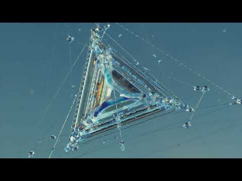 Kevin de Vries, Y do I  - Arrakeen