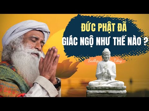 Đức Phật Đã Giác Ngộ Như Thế Nào | Sadhguru Lồng Tiếng #279