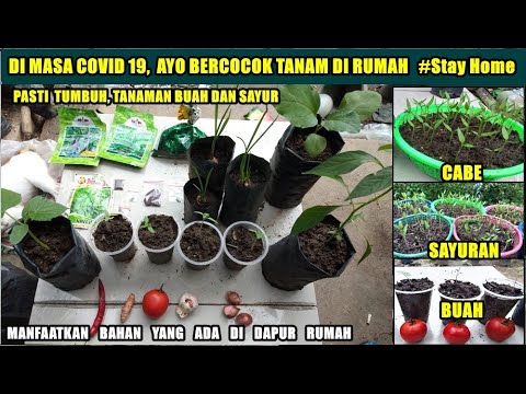 , title : 'Cara Menanam Berbagai Bibit Tanaman Yang Bisa Di lakukan Di Rumah #StayHome'