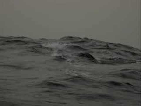 Sam Williams: Atlantic Rower