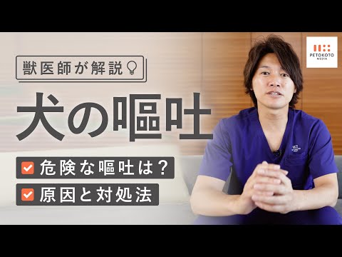 犬の嘔吐の原因