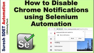 Disable Chrome Notifications | How to disable notifications during the Selenium Automation run