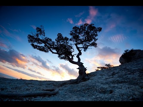 Tibetan Meditation Music, Relaxing Music, Music for Stress Relief, Background Music, ☯438