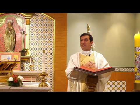 Padre Guilherme.  Homilia  (𝗔𝘁 𝟮𝟬,𝟮𝟴-𝟯𝟴) Jo 17, 11b-19  (19/05/2021)  𝘼 𝙙𝙞𝙛𝙪𝙨ã𝙤 𝙙𝙤 𝙘𝙧𝙞𝙨𝙩𝙞𝙖𝙣𝙞𝙨𝙢𝙤