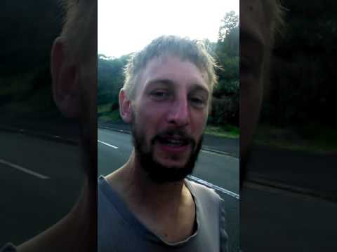 La fougne au Japon - intermède kawaii