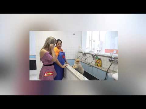 Bom Demais com Flavinha Cheirosa VTV-SBT 11/04/2015