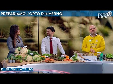 Di Buon Mattino - puntata del 20 gennaio 2022