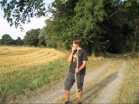 Sachgeschichte Eutrophierung (Schulprojekt)+