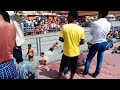 पवित्र गंगा घाट स्नान Haridwar Ganga Snan 2023 Tour Guide