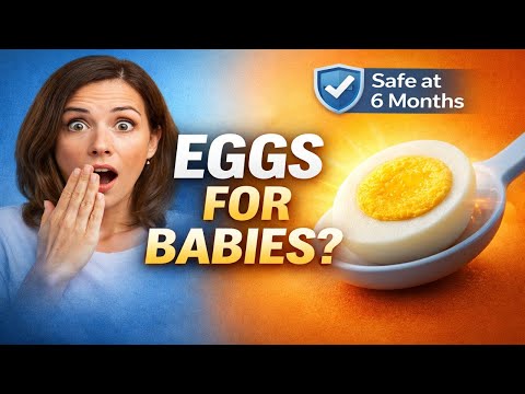How to Safely Introduce Eggs to Your Baby (6 Months Guide)