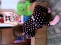 Juliana JIG Dancing On A Box Oh Boy
