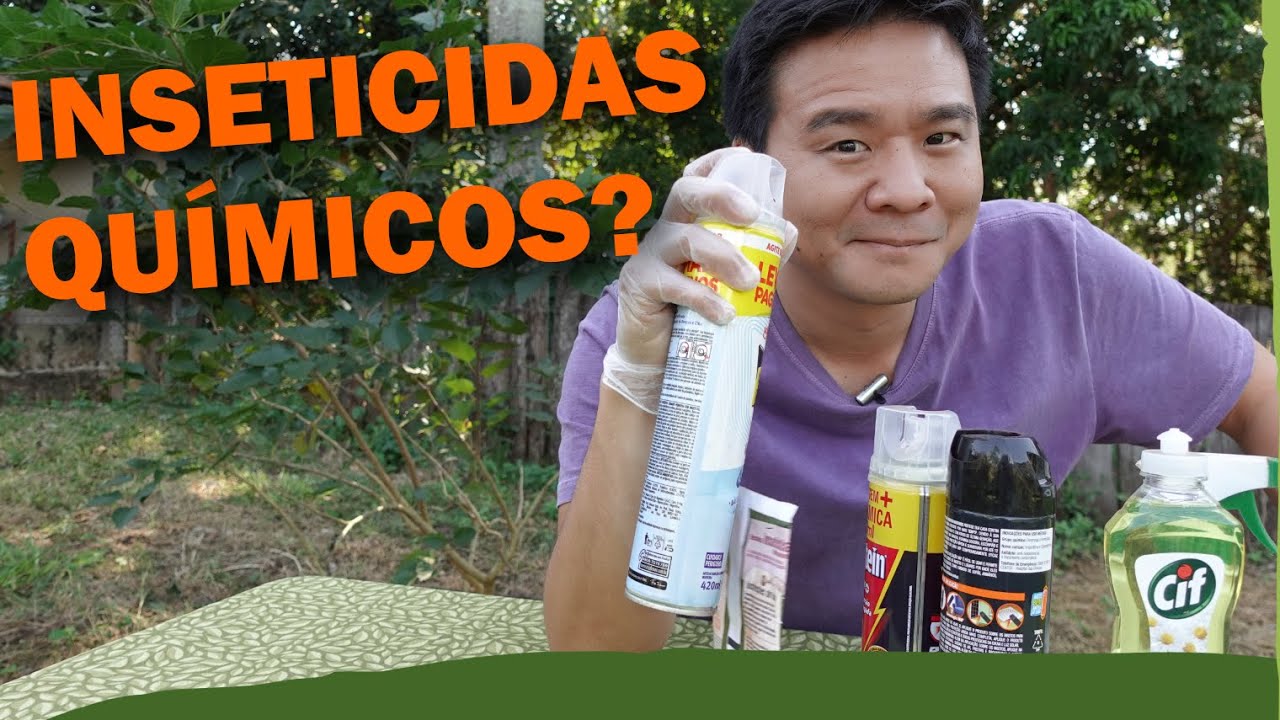 Que INSETICIDAS usar nas plantas, e quais NÃO USAR.
