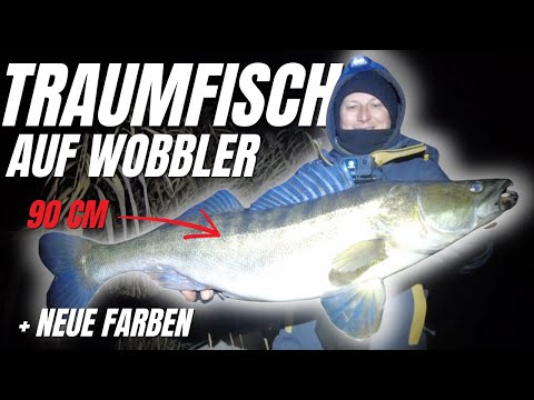 We catch dream zander on wobblers in winter 4K