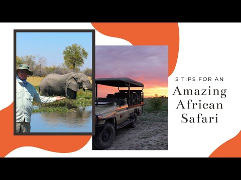 5 Tips for an African Safari