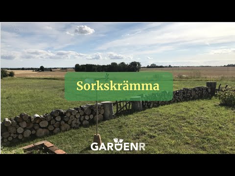 Sorkskrämma - Trädgårdshacks med GardenR