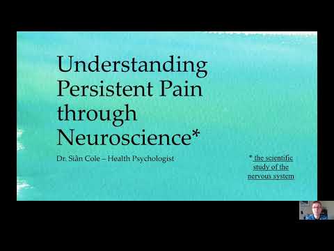 Understanding persistent pain through neuroscience - part 1