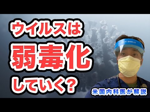研究者らは猫について警告:まったく新しい病原体を媒介する可能性がある