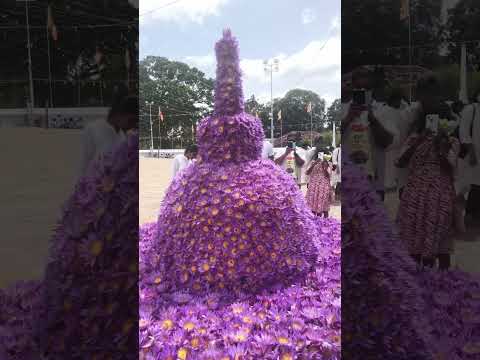 😳🙏Water Lily Sthupa in Ruwan Vali maha sa Anuradhapura #shorts #lily #flowers