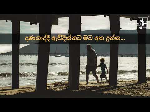 Danagaddi Awidinnata Original Song  | estimates.lk