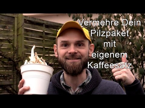 Vermehre Dein Pilzpaket mit eigenem Kaffeesatz - züchte selbst Edelpilze zuhause