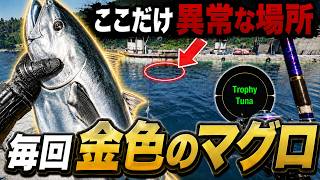 【SCUM】金色のマグロが毎回釣れる、異常な場所はどこ？？