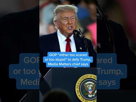 GOP 'either too scared or too stupid' to defy Trump, Media Matters chief says