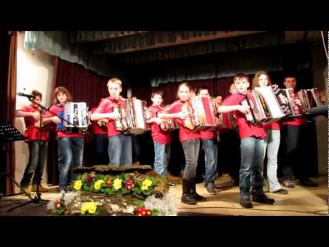Koncert orkestra harmonikarjev CiS