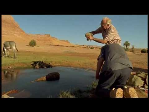 Thèodore Monod un destin nomade