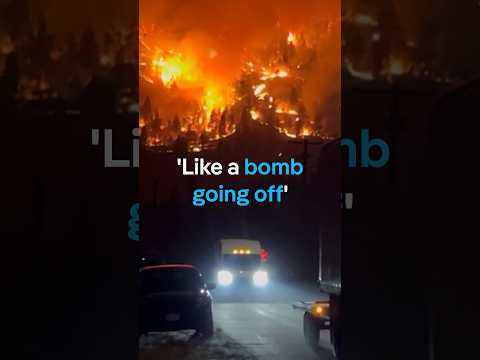 Canada Wildfires: British Columbia Declares State of Emergency | DW News