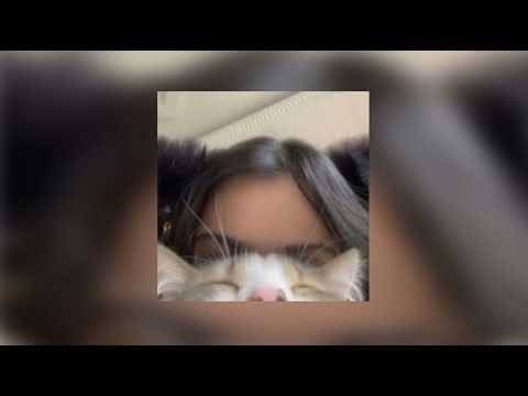 Inas x Zera - LEPADASY ( sped up )