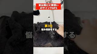 実は既に両想いのサイン 5選 #恋愛相談  #恋愛  #告白  #両思い #片思い