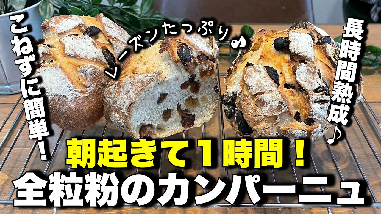 レーズンと全粒粉のカンパーニュ！超本格的なカンパーニュが誰でも簡単に作れます！プロが作る！美味しさの秘密教えます！