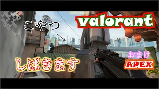 最近valorantにはまってます/おまけは嫁とAPEX