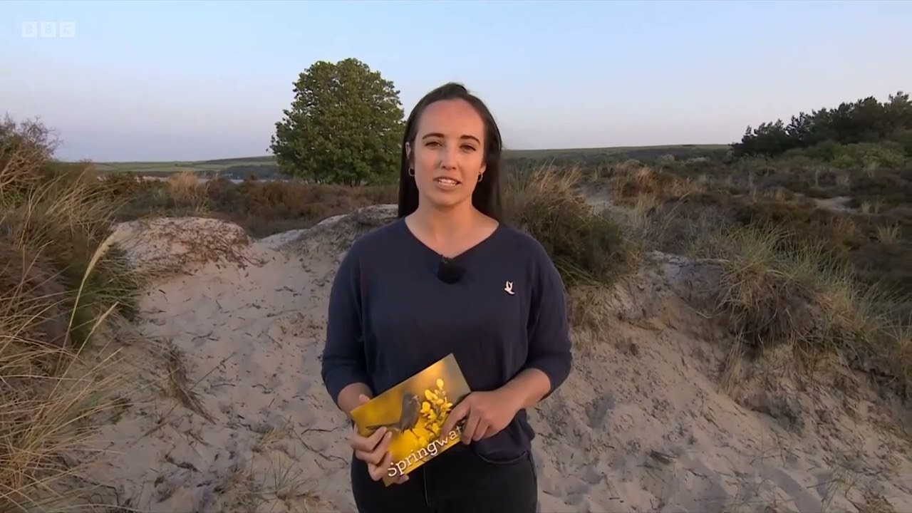 Sand Lizards on Springwatch (2023)