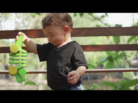 Slide 5 - Dancing Alligator (video)