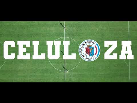 Ts Celuloza Kostrzyn