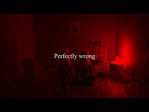 PERFECTLY WRONG. - Shawn Mendes | DANCE VIDEO | Choreo by ELLE