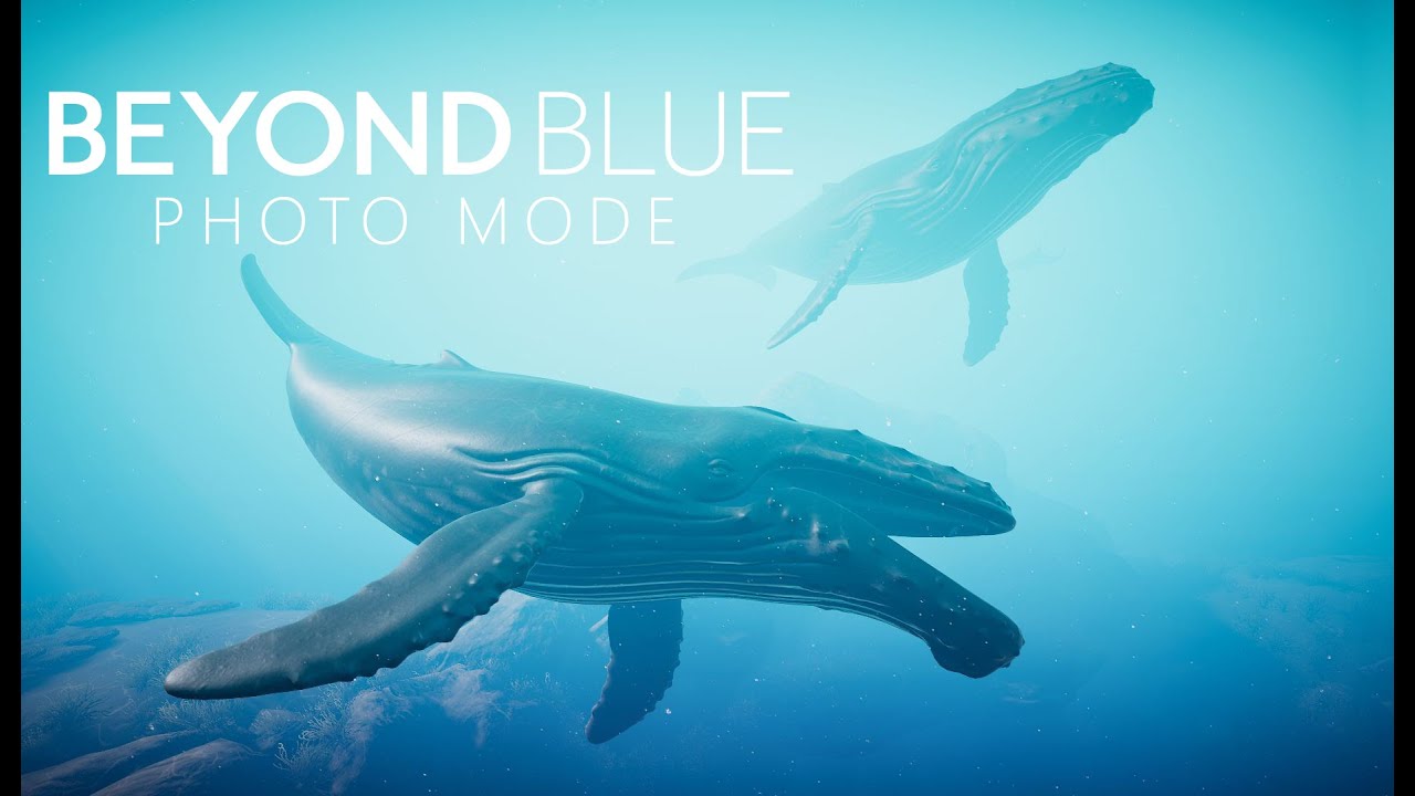 Beyond Blue photo mode trailer teaser