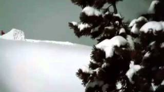 Pennywise   Surfin USA Beach Boys Punk Cover360p H 264 AAC