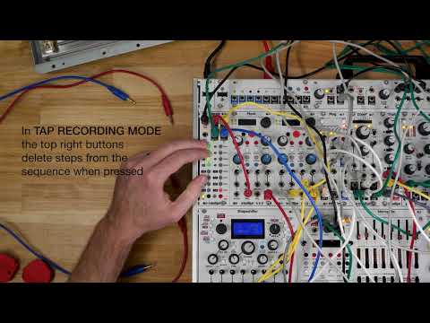 Intellijel Steppy 3U / 4-Track 64-Step Programmable Gate Sequencer image 2