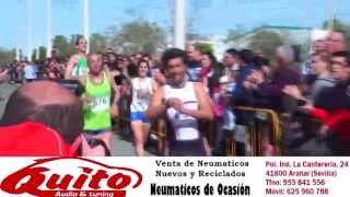 preview picture of video 'Resumen de la Media Maraton La cal y el olivo - Arahal 2013'