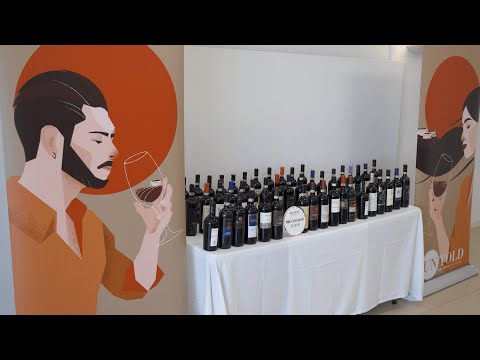 Decanto Untold - Teaser Video