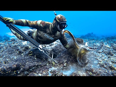 Spearfishing and Octopus Hunting in Hawaii (Catch and Cook)