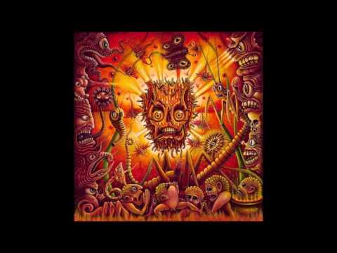 zik -  information with northian