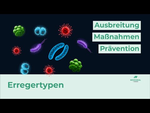 Welche ARTEN von KRANKHEITSERREGERN gibt es? | Erregertypen einfach erklärt