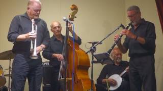 Black Cat On The Fence