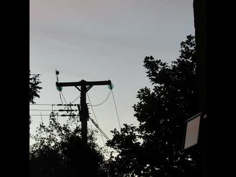 [FREE] nothing,nowhere. x skele x lil west x jay vee x notahero x kiddamo type beat - iris.