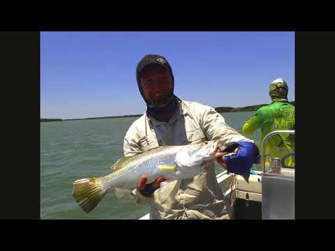 Maningrida Large   Copy