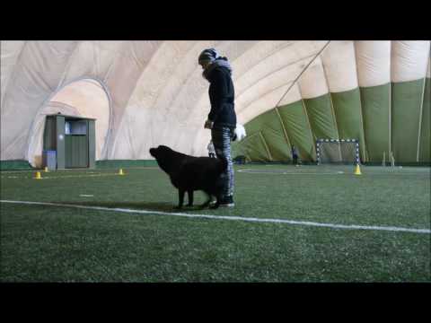 Trening na hali Lunka & Szodka