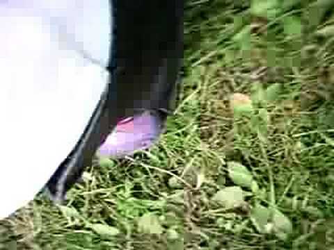 Abfahrt Sommerrodelbahn